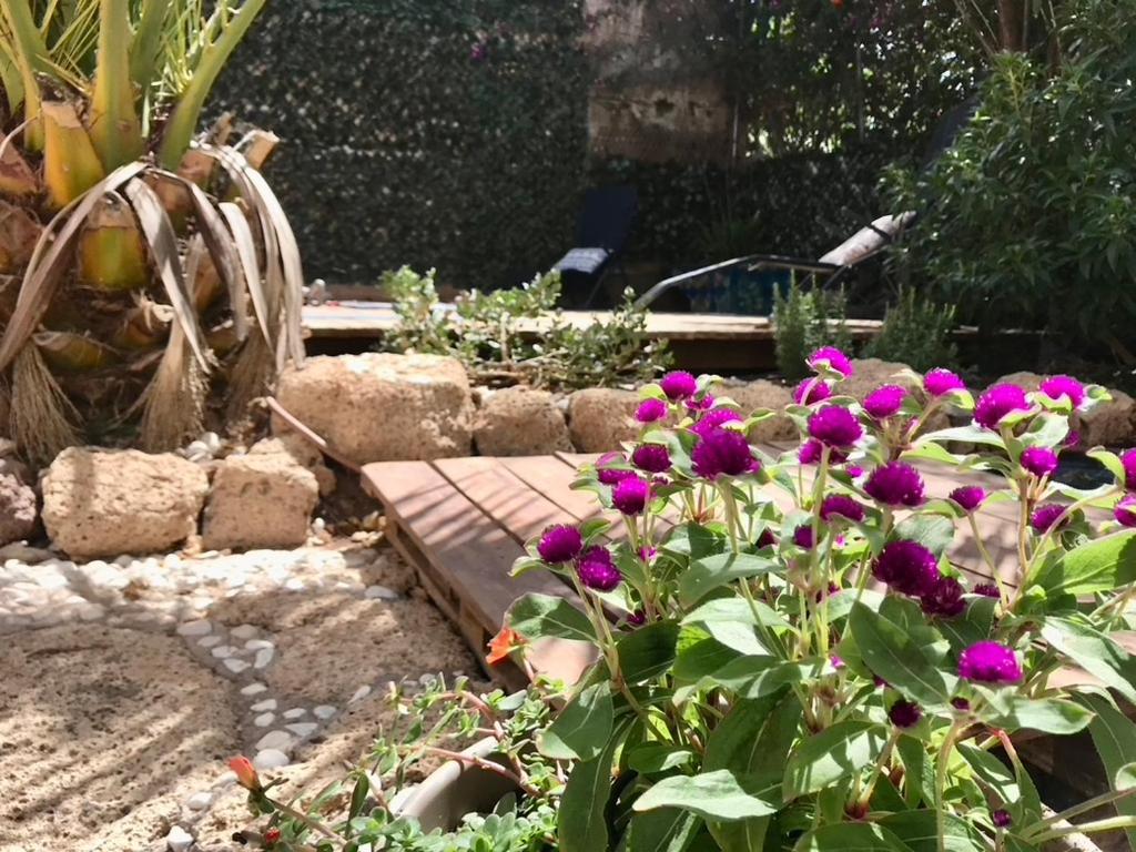 Casa Vivaqi Tenerife Гранадиля де Абона Екстериор снимка